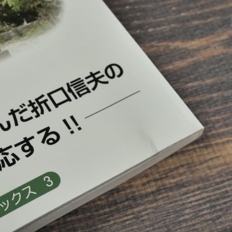 琉球王権の源流　谷川健一「琉球国王出自」をめぐって／折口信夫 琉球国王の出自