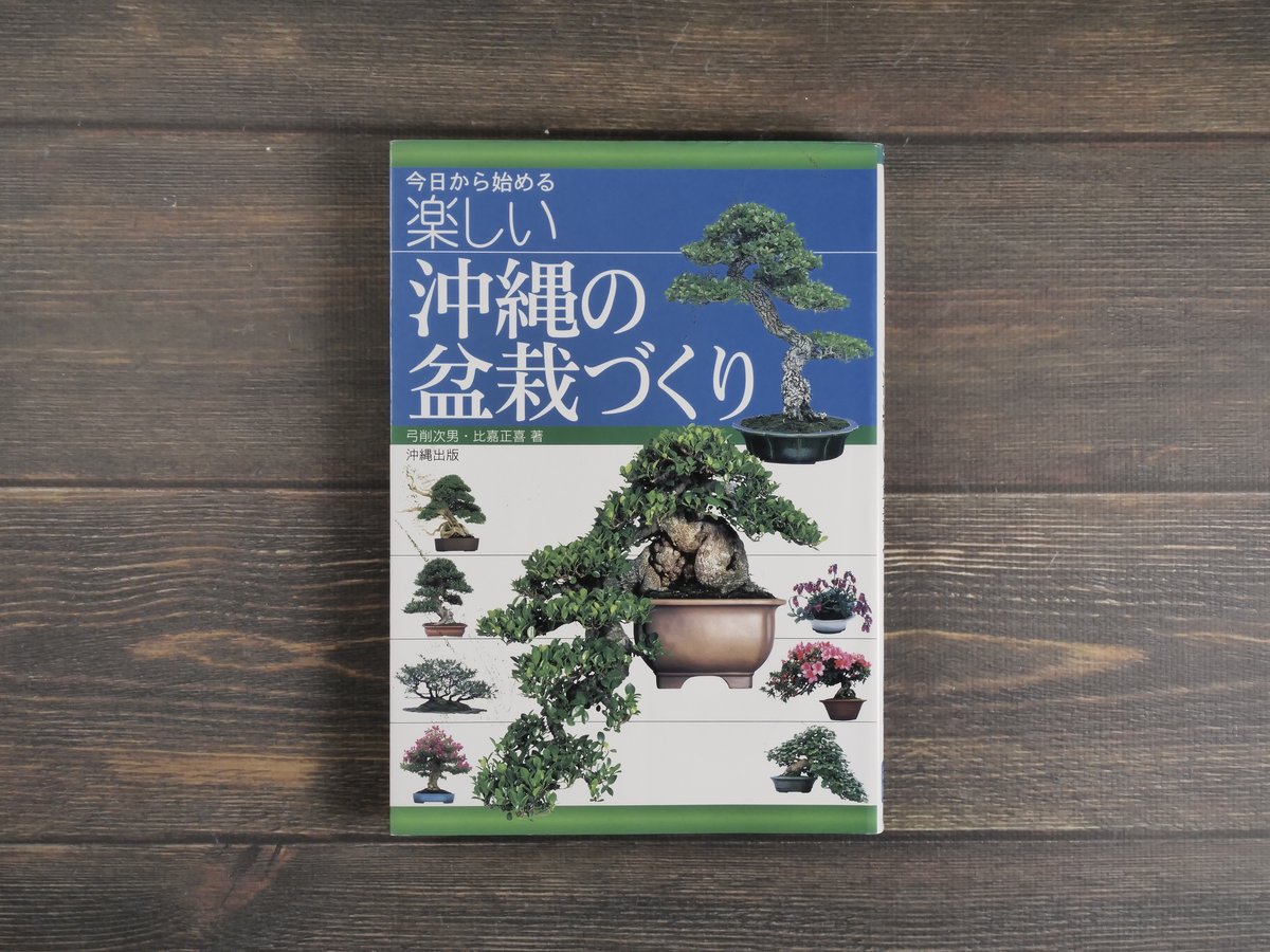 楽しい沖縄の盆栽づくり 希少 fit=scale-down,w=1200