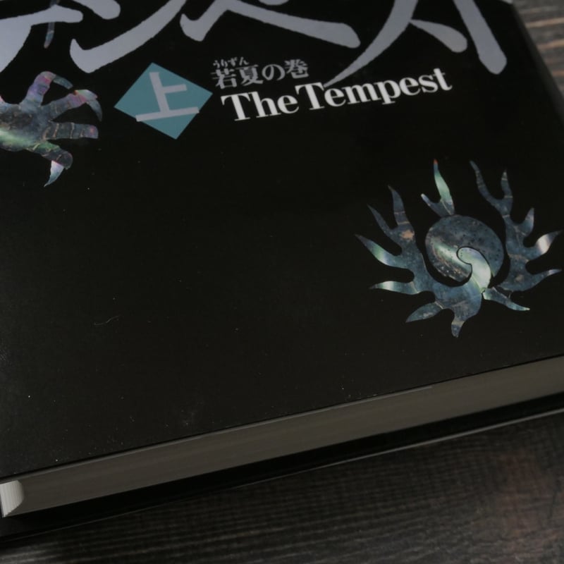 テンペスト 上 若夏の巻 池上永一 | 古書店うみつばめ