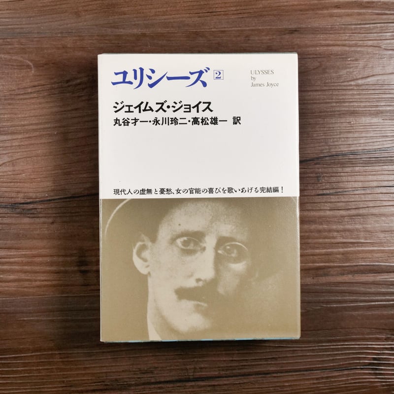 世界文学全集2-14 ジェイムズ・ジョイス ユリシーズ2(四六判 世界文学全集2-14 ジェイムズ・ジョイス ユリシーズ2(四六判