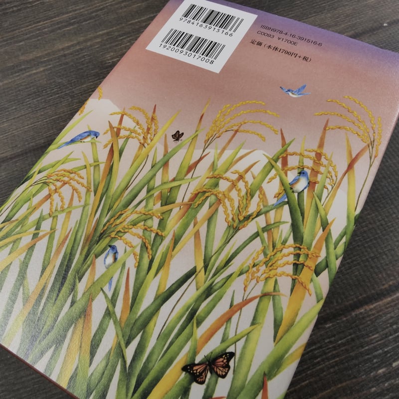 香君 上・下巻 上橋菜穂子 | 古書店うみつばめ