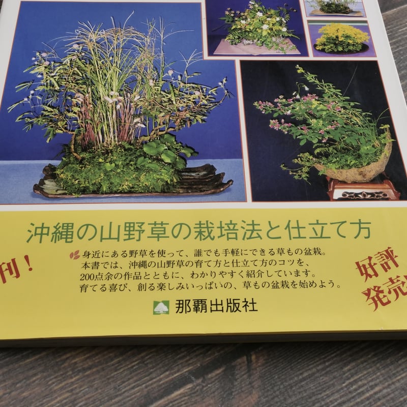 盆栽・山野草関連書籍 隔月刊「山野草とミニ盆栽」18年初夏号 | 盆栽、盆栽書籍、盆栽