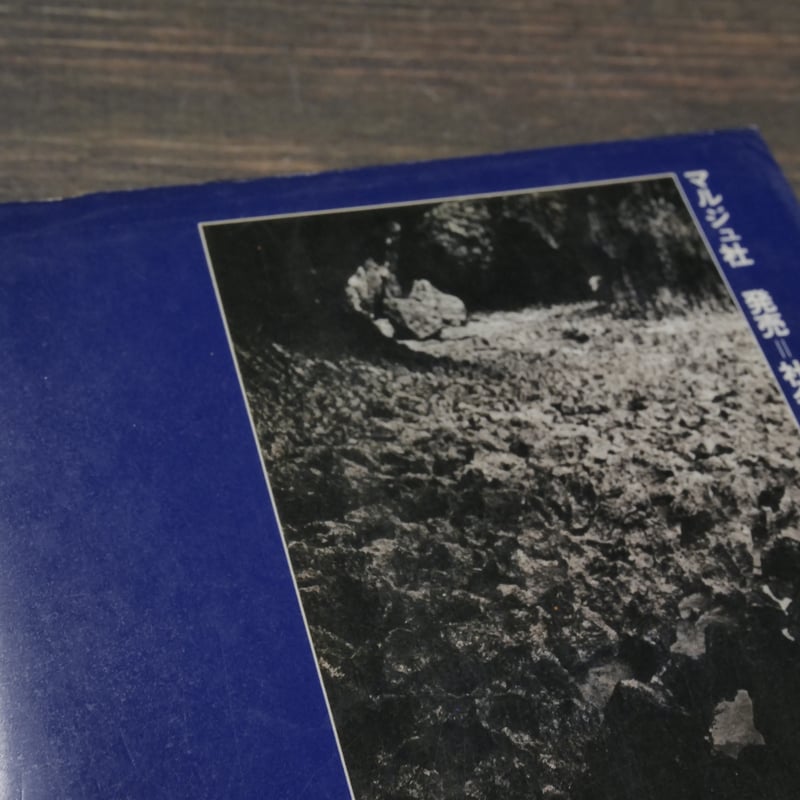 逃げる兵 サンゴ礁の碑 渡辺憲央 | 古書店うみつばめ