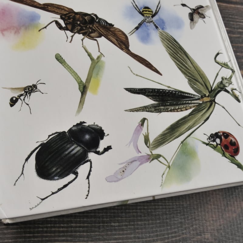 幼年版 ファーブルこんちゅう記1 たまころがし ぶん：こばやし せいの