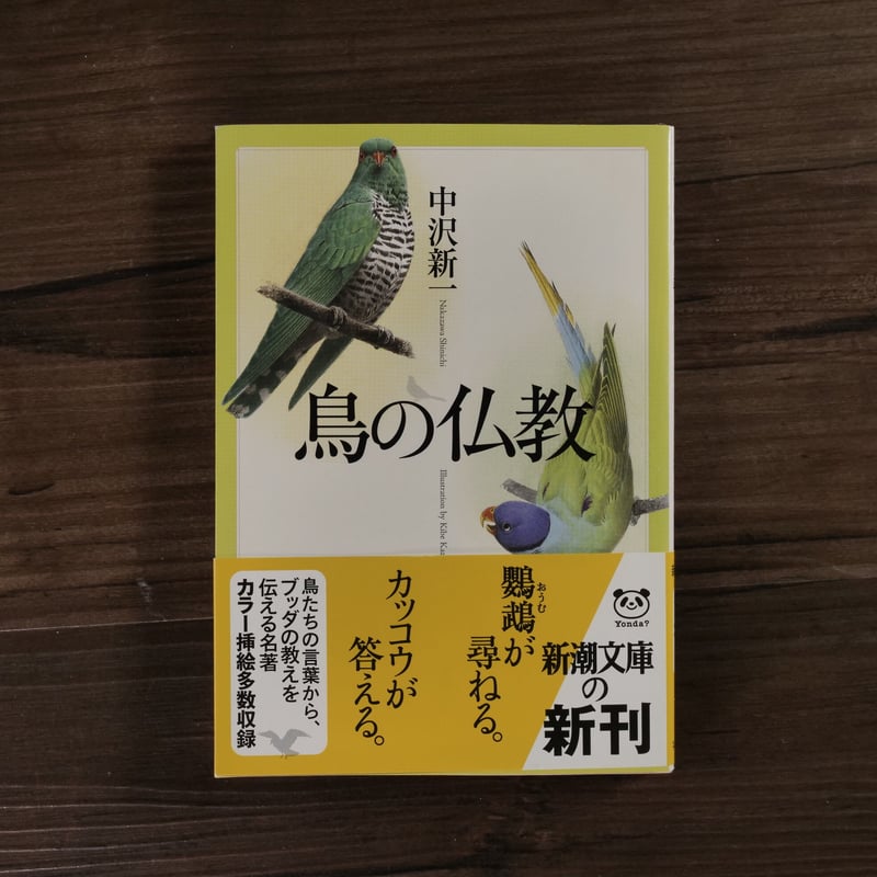 鳥の仏教（新潮文庫）中沢 新一 | 古書店うみつばめ
