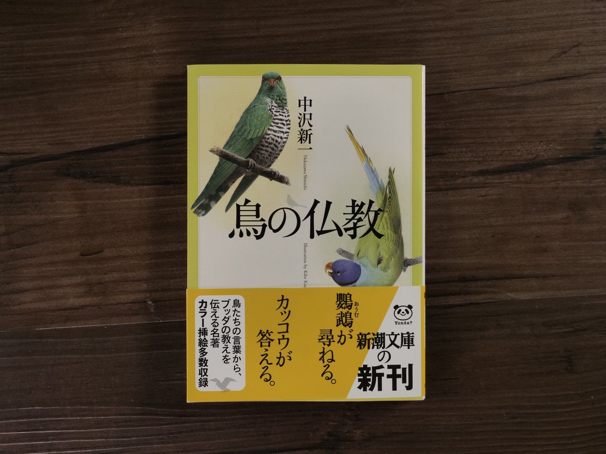 鳥の仏教（新潮文庫）中沢 新一 | 古書店うみつばめ