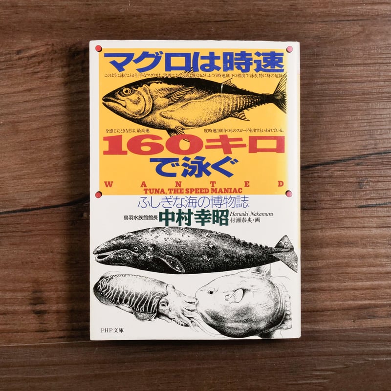マグロの大研究 生態のふしぎから食文化まで/ＰＨＰ研究所/河野博（魚類学）（単行本） マグロの大研究 生態のふしぎから食文化まで (楽しい調べ学習