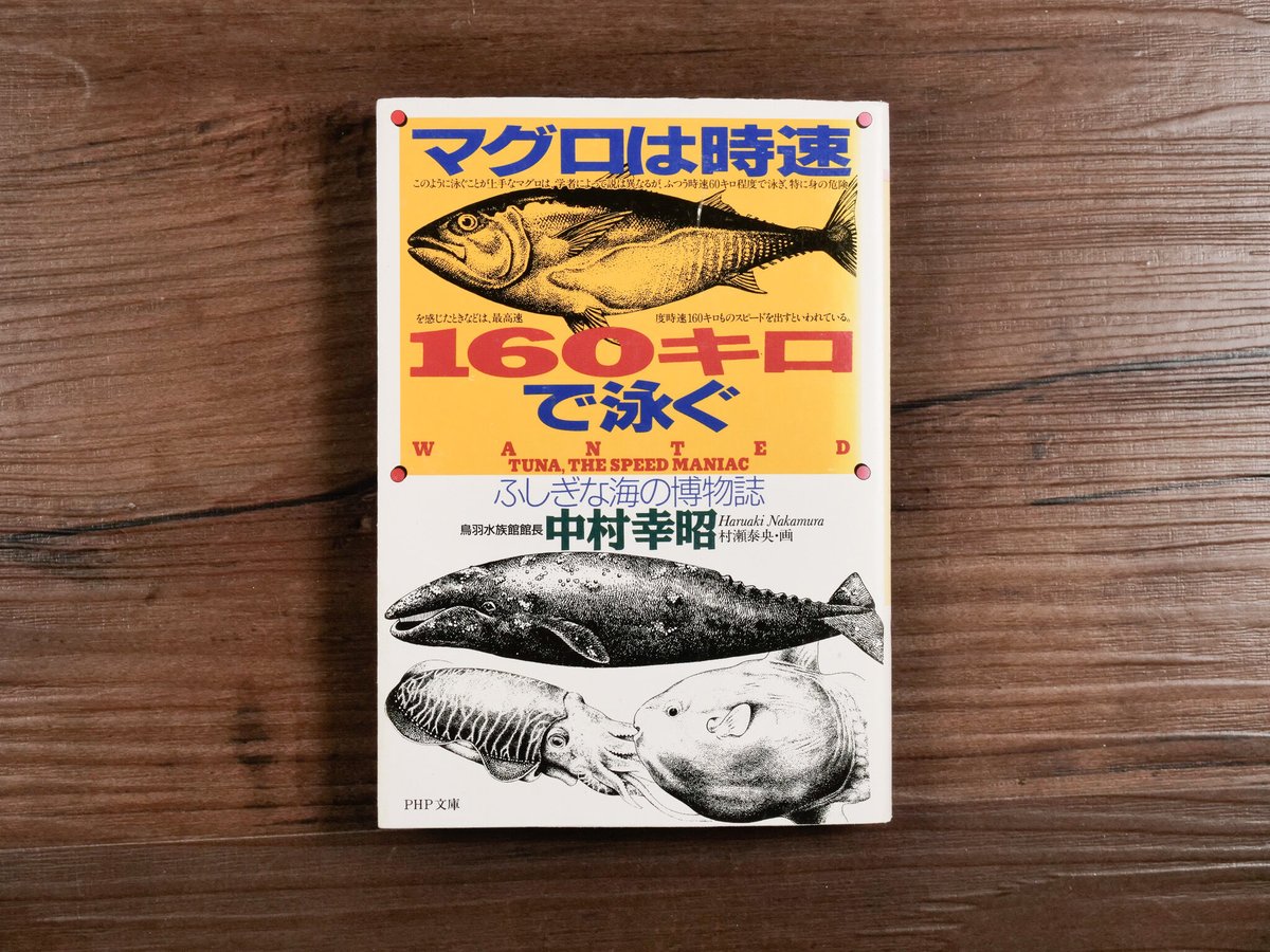 マグロの大研究 生態のふしぎから食文化まで/ＰＨＰ研究所/河野博（魚類学）（単行本） マグロの大研究 生態のふしぎから食文化まで (楽しい調べ学習