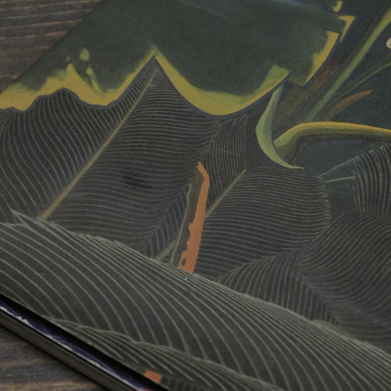 NHK日曜美術館「黒潮の画譜」田中一村作品集（大型本） | 古書店うみつばめ