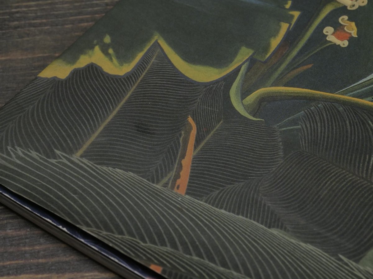 NHK日曜美術館「黒潮の画譜」田中一村作品集(大型本) | 古書店 NHK日曜美術館「黒潮の画譜」田中一村作品集(大型本) | 古書店