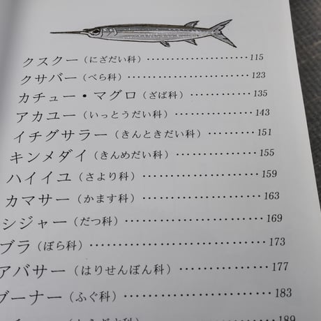 おきなわ魚　＝おもしろハンドブック= 　泉見亨 著　※再入荷