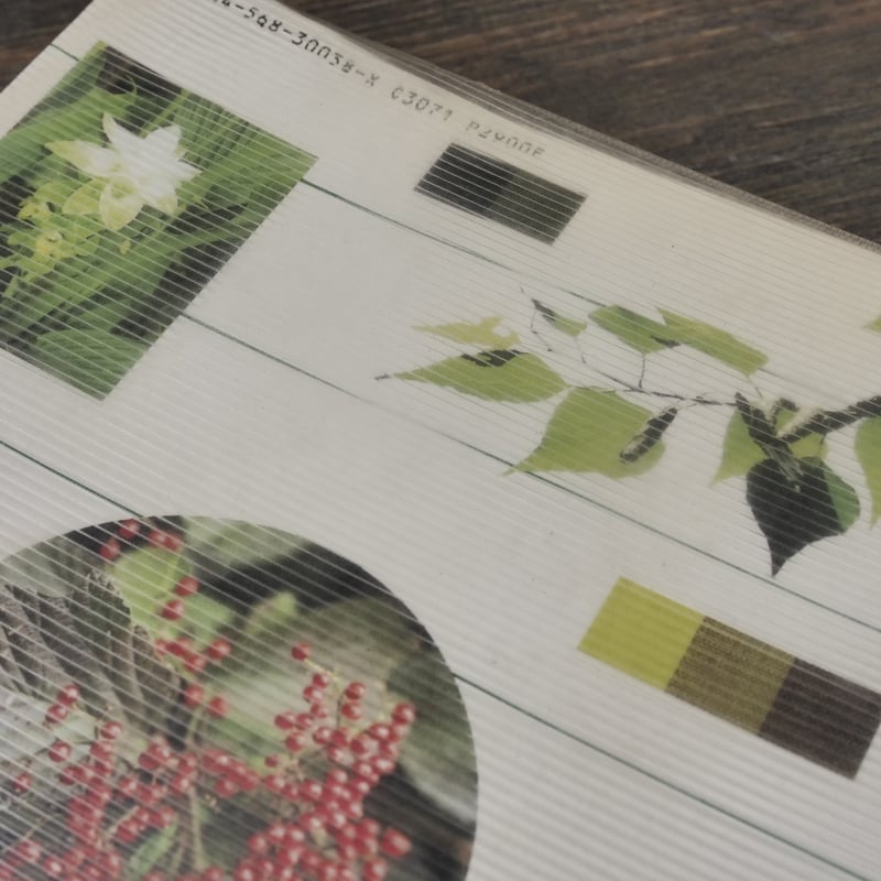 草木染 染料植物図鑑 山崎青樹 著 | 古書店うみつばめ 草木染 染料植物図鑑 山崎青樹 著 | 古書店うみつばめ