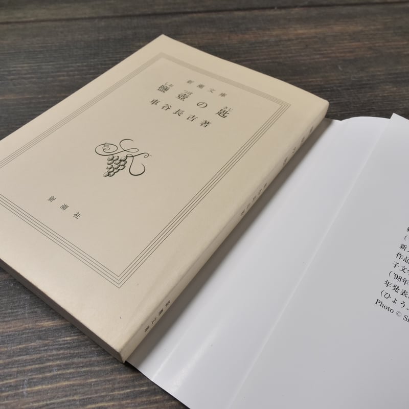 鹽壺の匙 車谷長吉 (新潮文庫） | 古書店うみつばめ