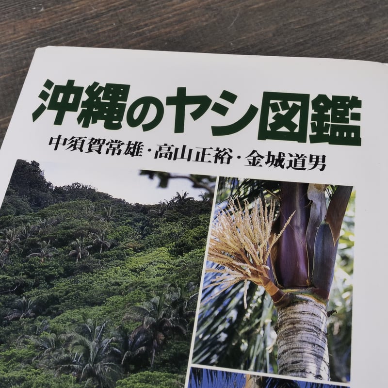 沖縄のヤシ図鑑 中須賀常雄 高山正裕 金城道男 | 古書店うみつばめ