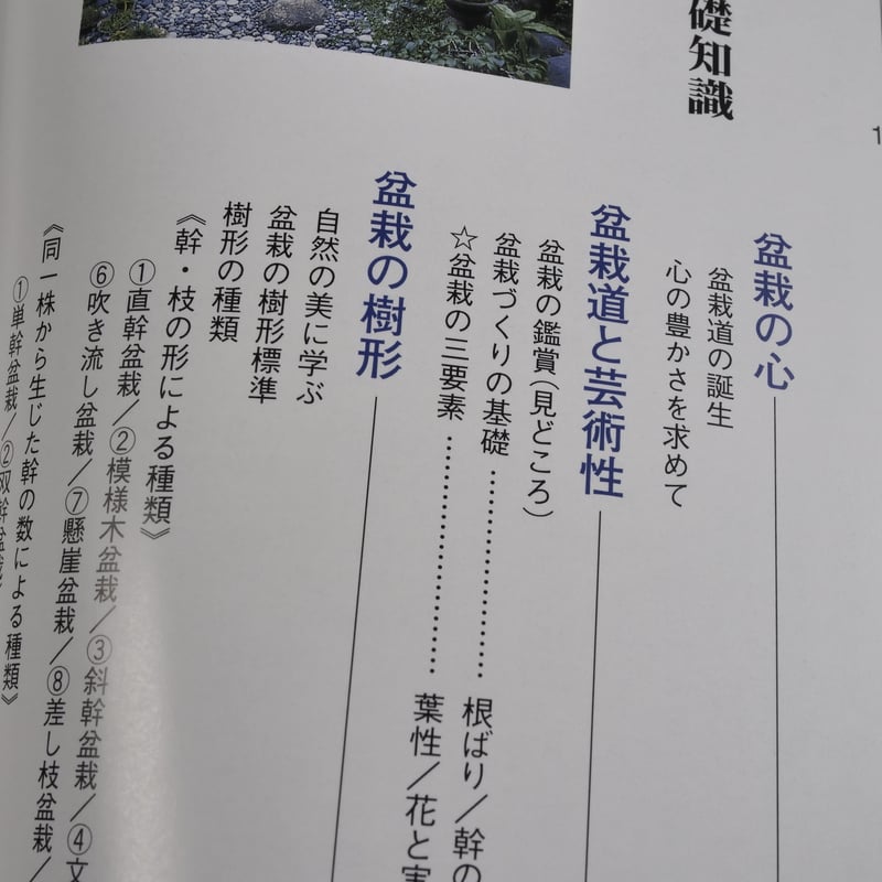 今日から始める 沖縄の盆栽づくり 弓削次男 比嘉正喜 | 古書店うみつばめ