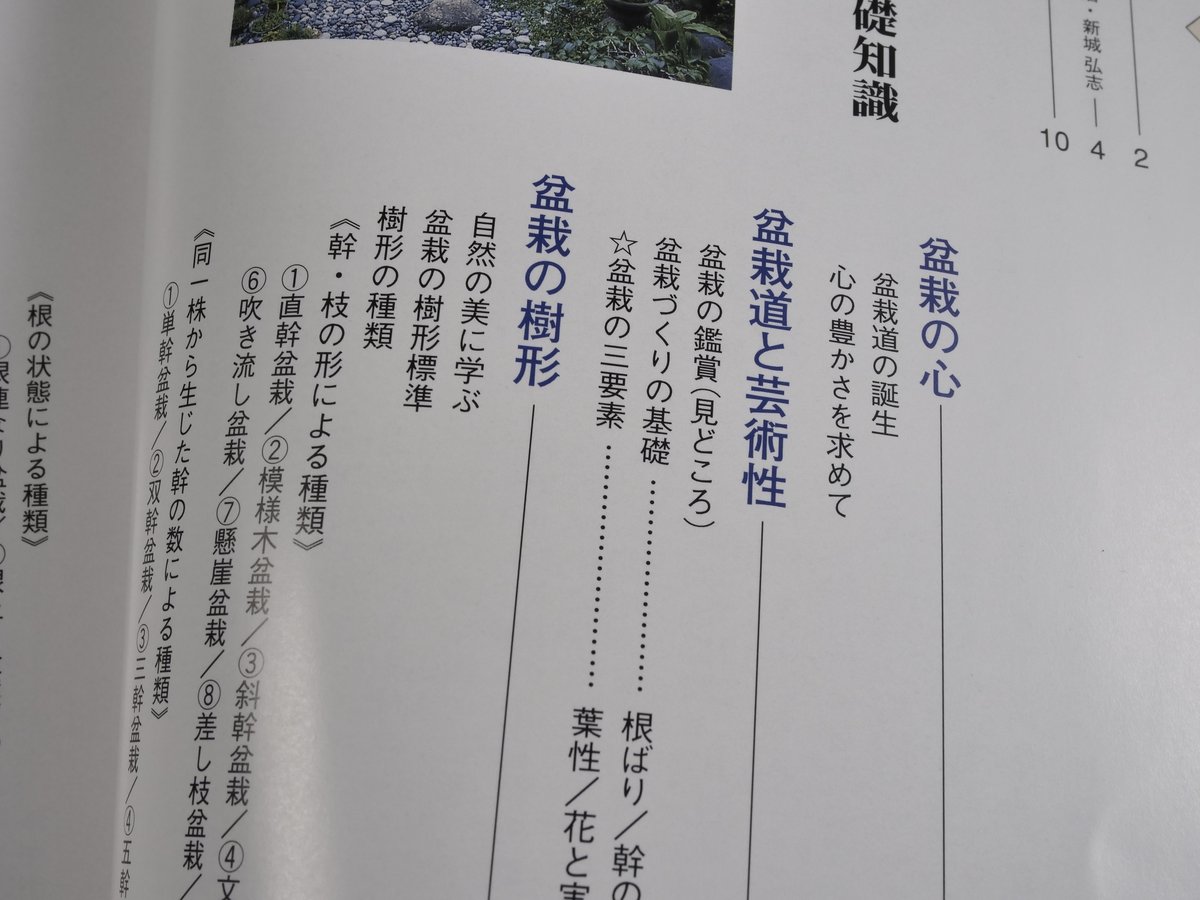 今日から始める 沖縄の盆栽づくり 弓削次男 比嘉正喜 | 古書店うみつばめ