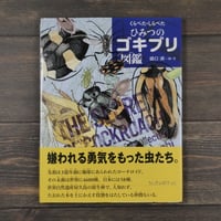 イラクの小さな橋を渡って 池澤夏樹・文 本橋成一・写真 | 古書店うみ