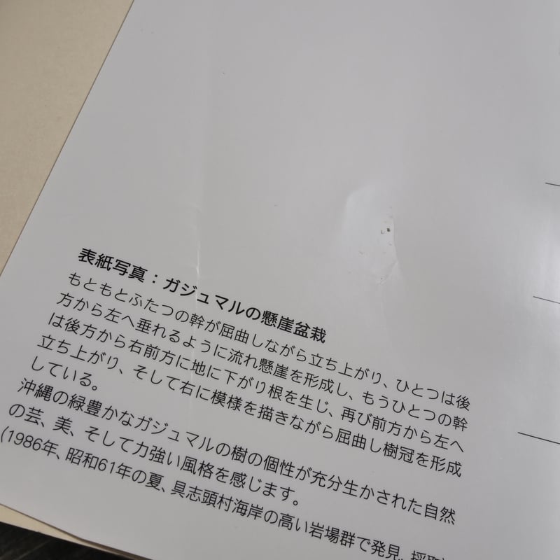 今日から始める 沖縄の盆栽づくり 弓削次男 比嘉正喜 | 古書店うみつばめ