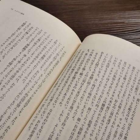 イヌワシ讃歌　エッセイ（新書判）丸山健二