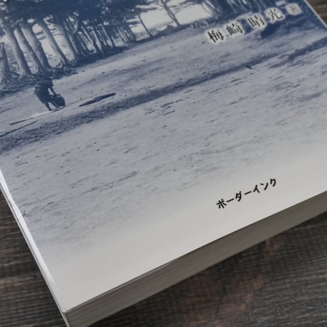 消えた琉球競馬　幻の名馬「ヒコーキ」を追いかけて　梅崎晴光