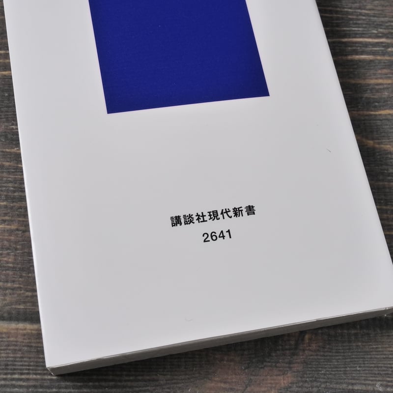 詩とは何か 吉増 剛造（講談社現代新書） | 古書店うみつばめ