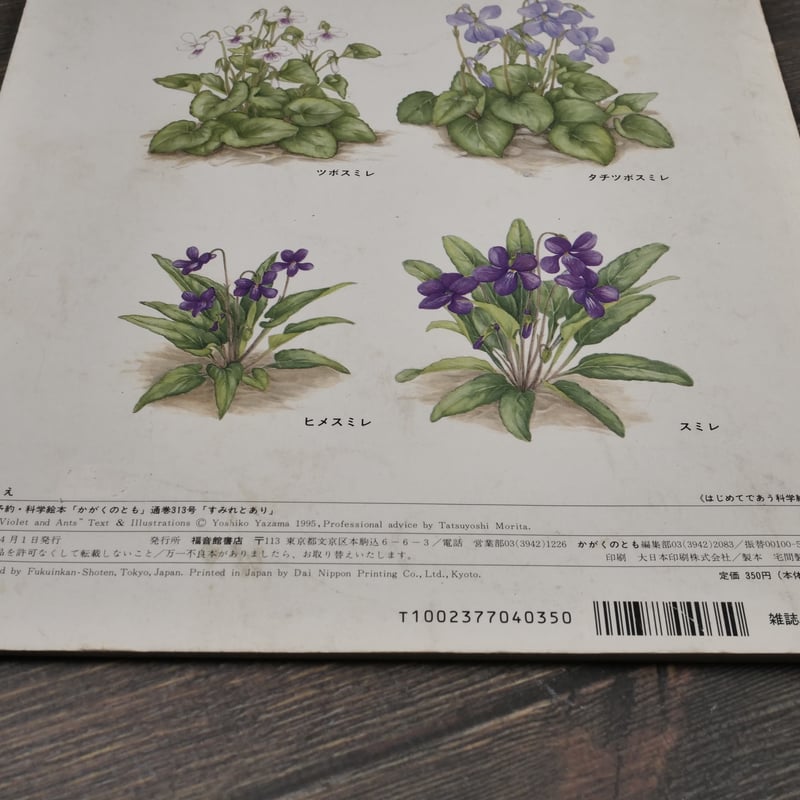 すみれとあり 矢間芳子 さく 森田竜義 監修 | 古書店うみつばめ