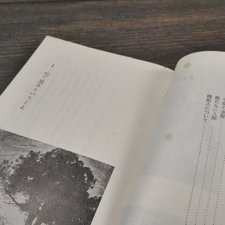 心で見る世界　島崎敏樹（岩波新書）