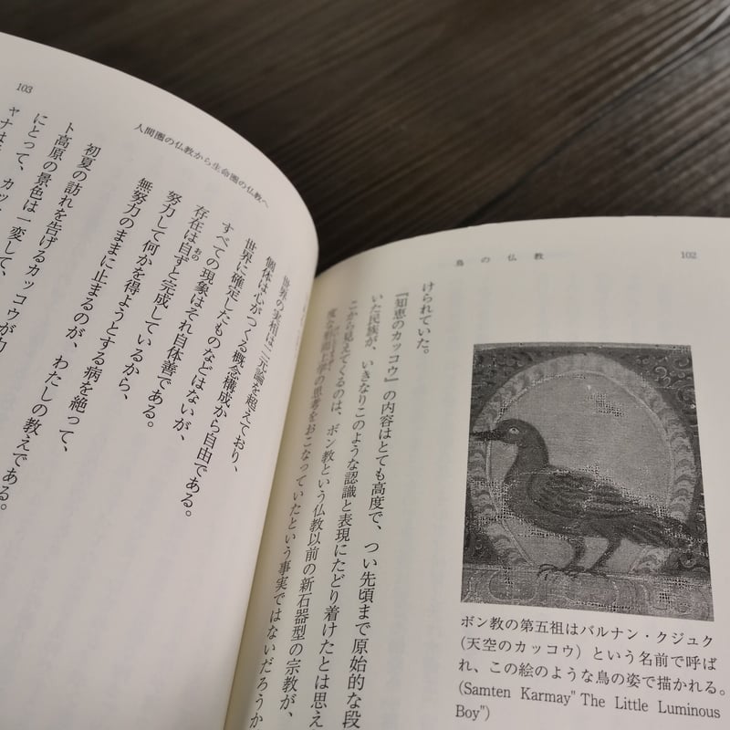 鳥の仏教（新潮文庫）中沢 新一 | 古書店うみつばめ