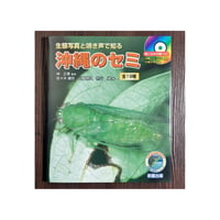 【新品･定価販売】生態写真と鳴き声で知る　沖縄のセミ　全19種