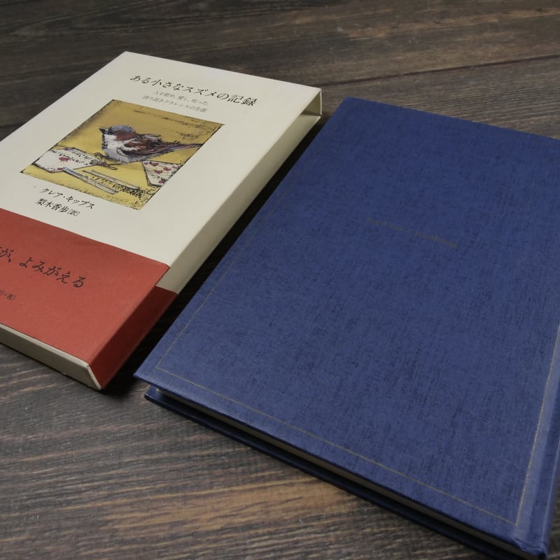 ある小さなスズメの記録 クレア・キップス・著／梨木香歩・訳 | 古書店