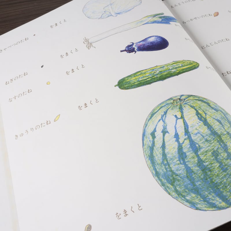 かがくのとも傑作集 どきどきしぜん たべられるしょくぶつ（B5判）森谷