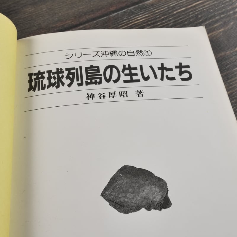 シリーズ沖縄の自然① 琉球列島の生いたち 神谷厚昭 （初版第1刷