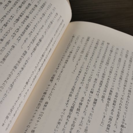 神を描いた男・田中一村（B6判）小林照幸