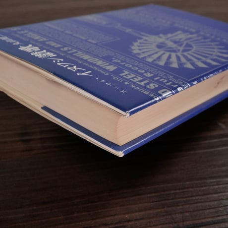 イヌワシ讃歌　エッセイ（新書判）丸山健二