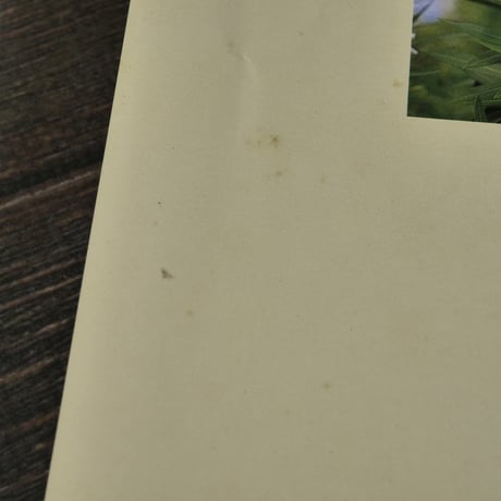 沖縄の危険生物　野外活動を安全にすごすためのガイドブック　諸喜田茂充 著