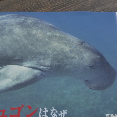 ジュゴンはなぜ死ななければならなかったのか　真鍋和子 著（初版）