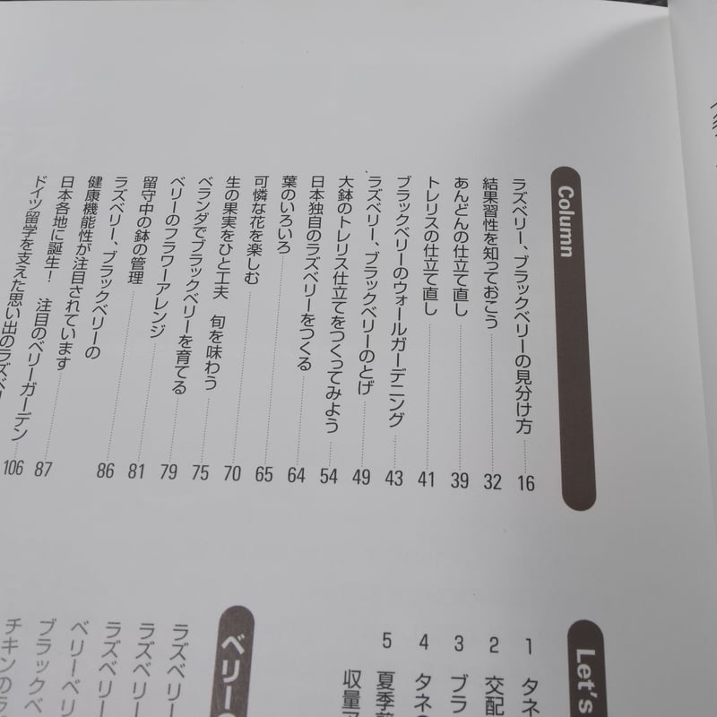 NHK趣味の園芸 よくわかる栽培12か月 ラズベリー、ブラックベリー 國