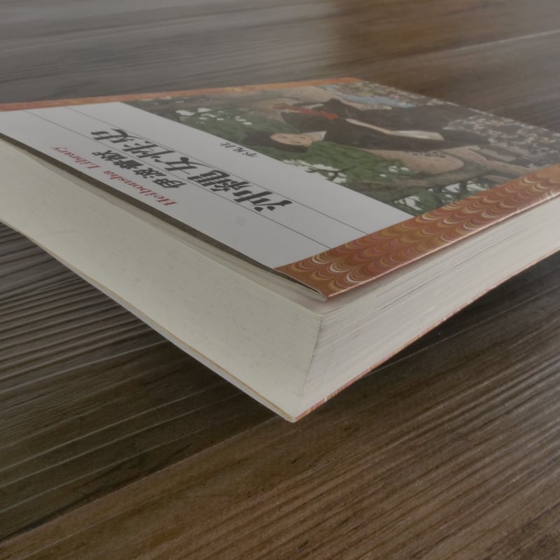 沖縄女性史（平凡社ライブラリー）伊波普猷 | 古書店うみつばめ