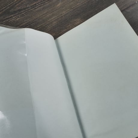 おきなわ魚　＝おもしろハンドブック= 　泉見亨 著　※再入荷
