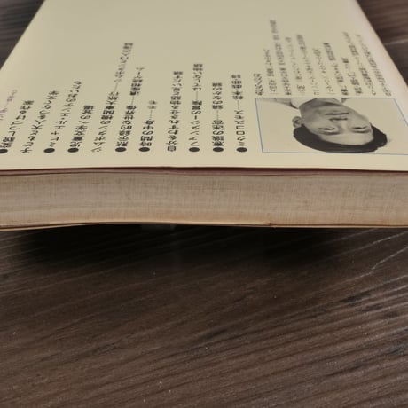 ミヒャエル・エンデ　安達忠夫（講談社現代新書）