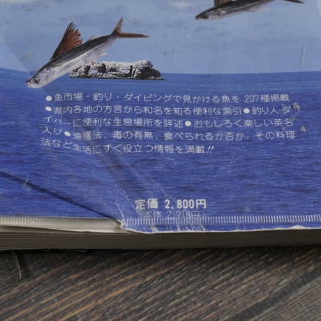 方言でしらべる 沖縄の魚図鑑  横井謙典