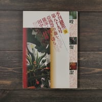 季刊銀花 1992春 第89号 亜熱帯の森を雄渾に描き切る田中一村傳（雑誌）