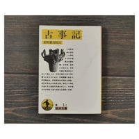 沖縄の歴史と文化（中公新書）外間守善 | 古書店うみつばめ