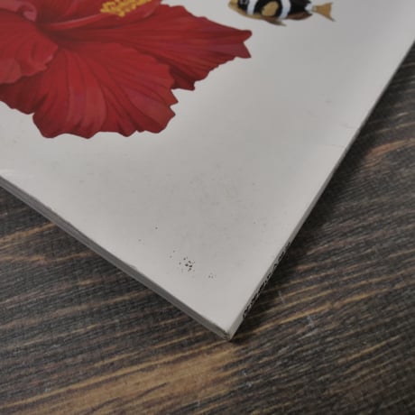 詩とファンタジー　秋雅号/20号記念号 2012 No.20（雑誌）　※沖縄の詩と芸術
