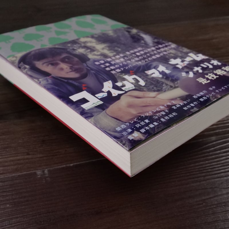 ゴーイングマイホーム シナリオ（B6判）是枝裕和 | 古書店うみつばめ