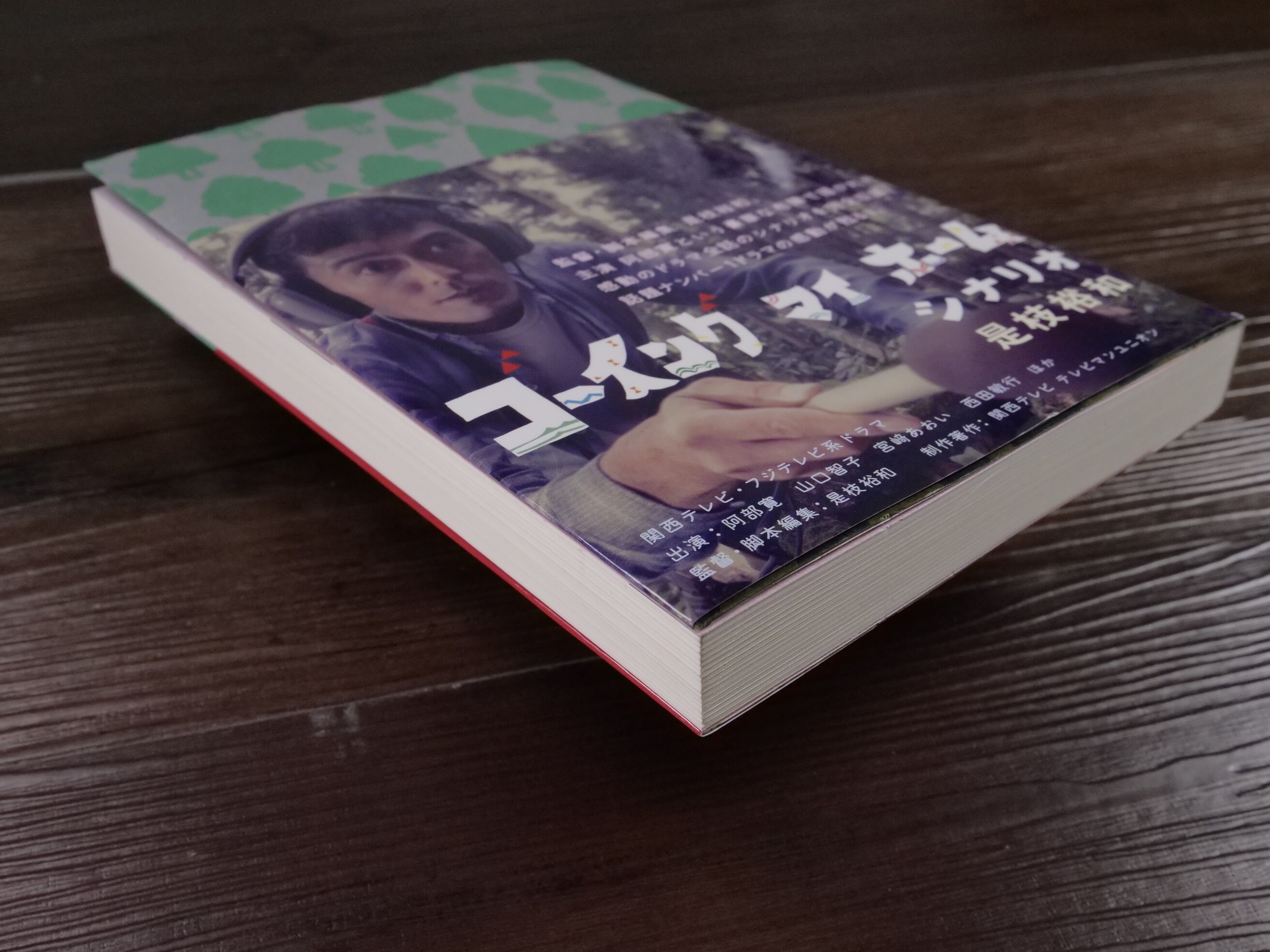 ゴーイングマイホーム シナリオ（B6判）是枝裕和 | 古書店うみつばめ