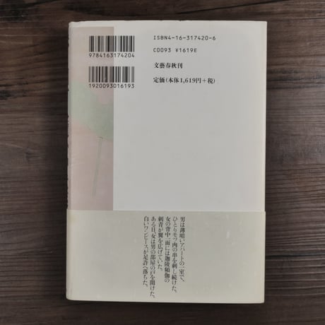 赤目四十八瀧心中未遂  車谷長吉