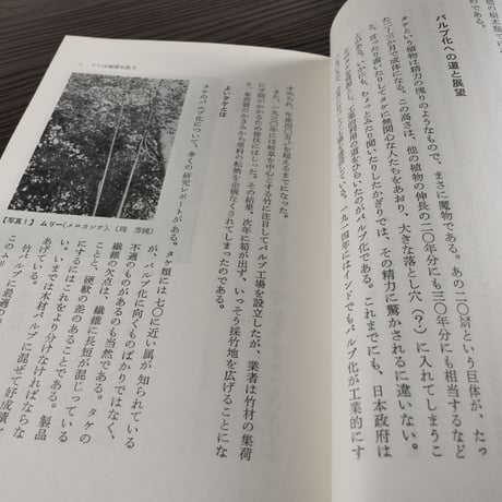 竹を知る本　竹は木か草か（B6判）室井綽
