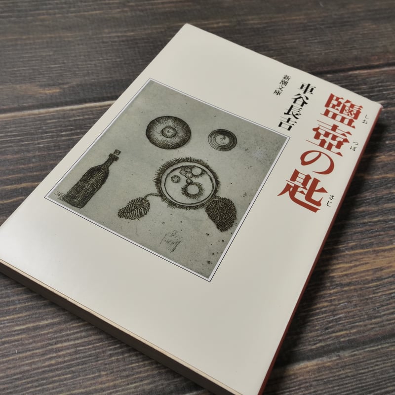 鹽壺の匙 車谷長吉 (新潮文庫） | 古書店うみつばめ