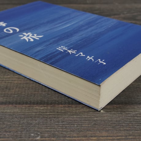 海の旅　篠原鳳作遠景　岸本マチ子　※文庫本サイズ